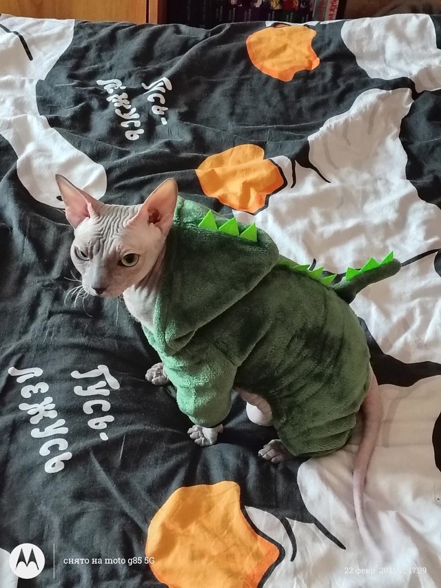 Бусинда😸