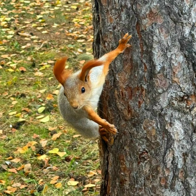 Краски осени🍂