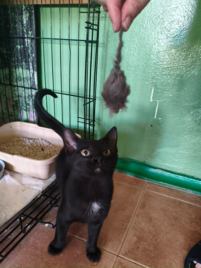 ВОЛГОРЕЧЕНСК ❗
Ласковый мальчишка ищет любящих 