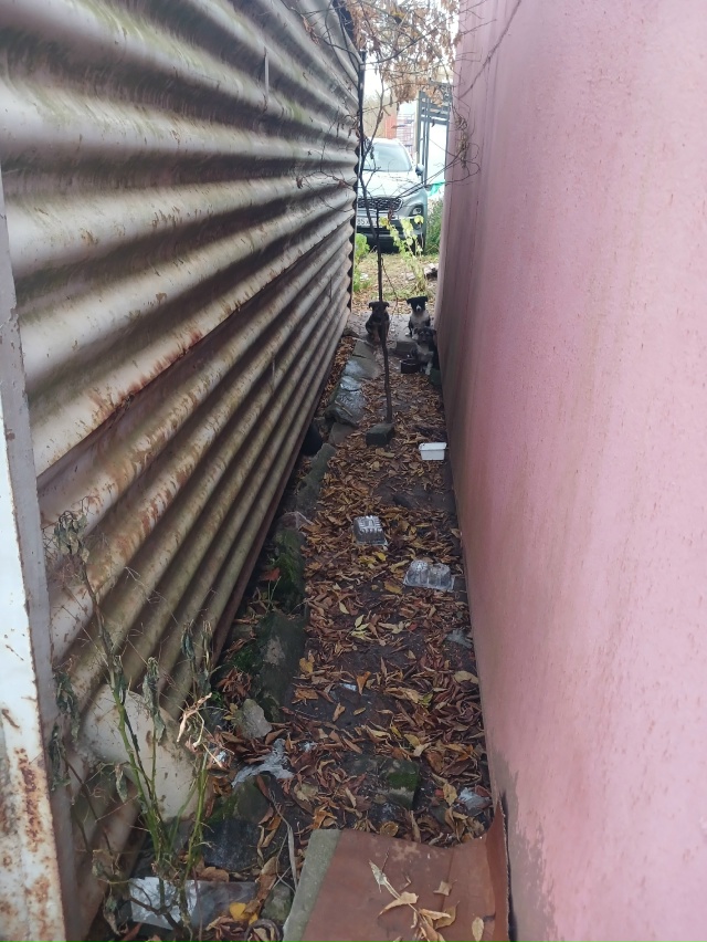 Малыши ищут дом. Живут в гаражах на улице. Может кто зна...