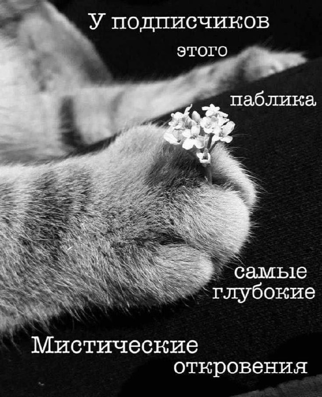 Утренняя подборочка