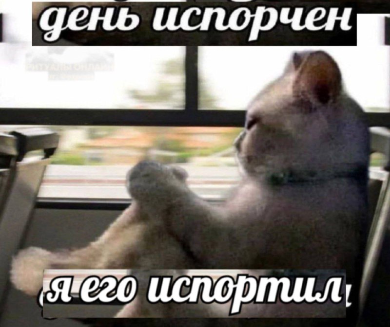 Утренняя подборочка