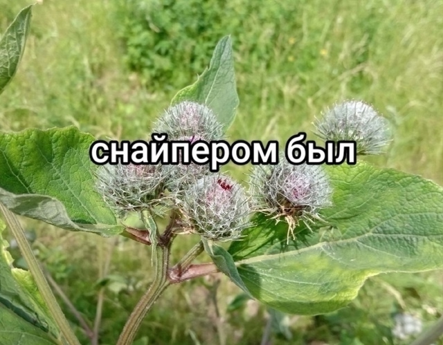 Вот таким было наше детство которое не вернуть... А дети...