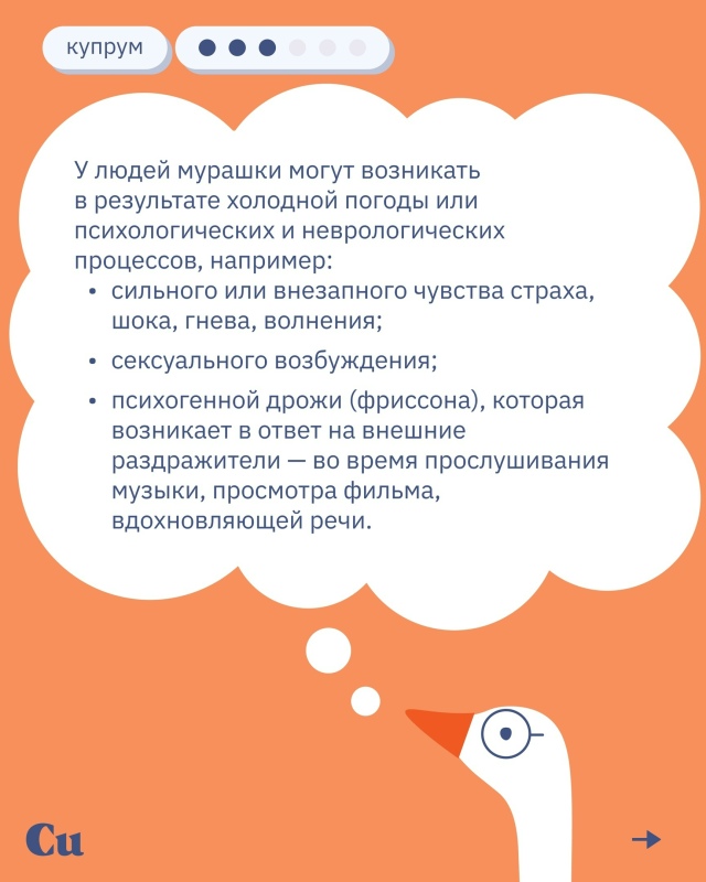 🪿Мурашки пробегали у многих из нас — от музыки, кино, ?...
