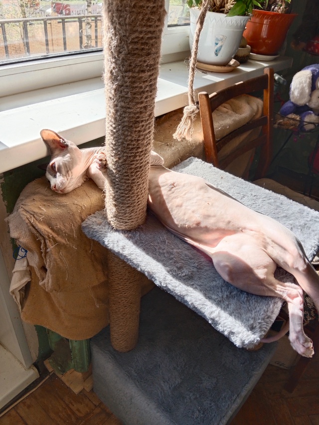 Амур ловит солнечные ванны