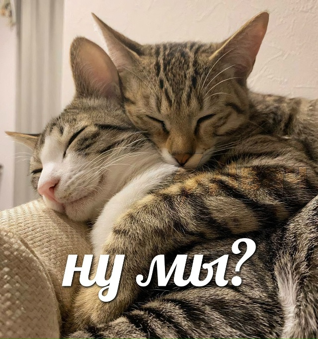 Сегодня отмечается День заботливого мужа
Поздравляй ?...