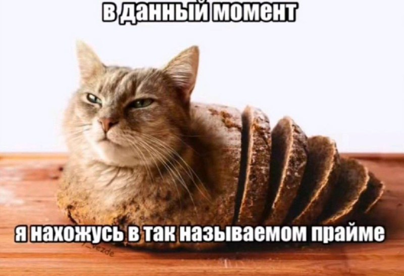 когда прошли все высыпания на коже (на 1 день):