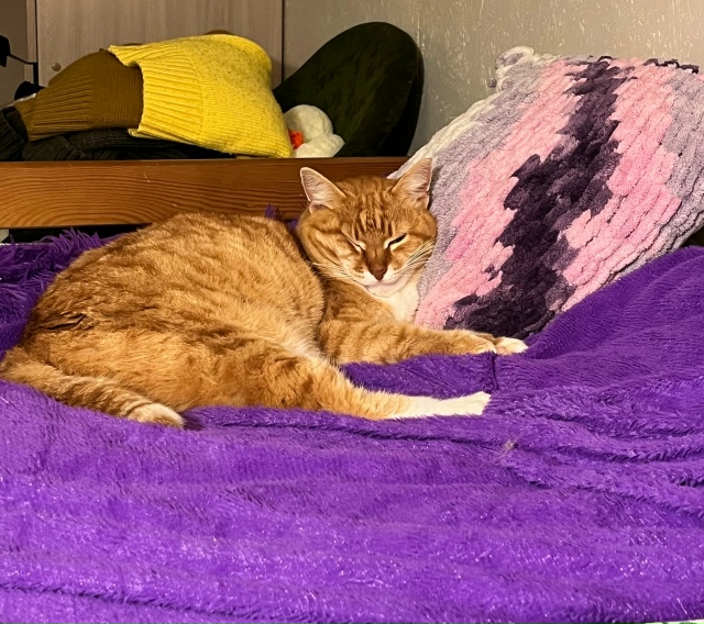 Люсинда❤️можно просто Люся❤️