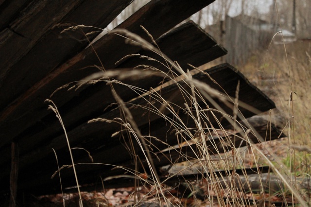 Красивая осень в Чайковском 🍂