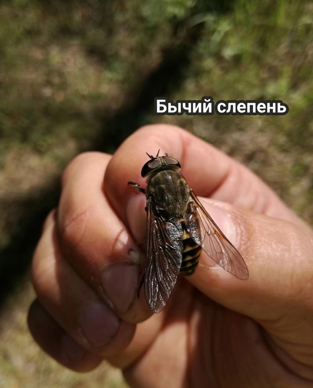 ⚡️Ладно, убедили😀
