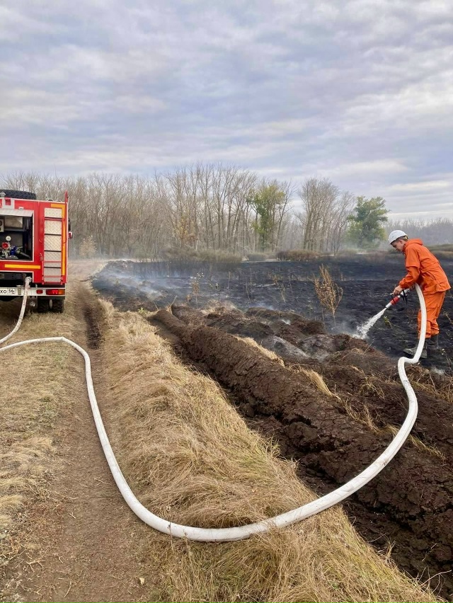 ⚡️Сегодня в считанных метрах от Бузулукского бора за?...