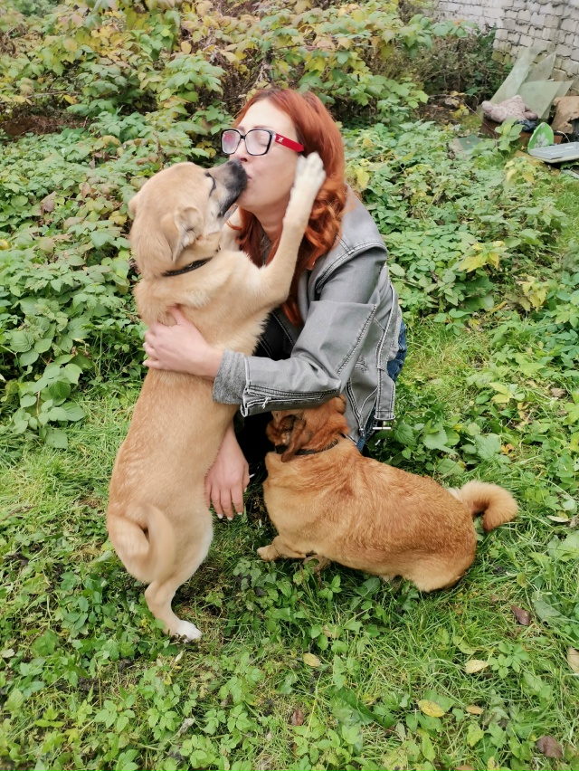 В поиске дома две очаровательные красотки-Дина и Джерр...