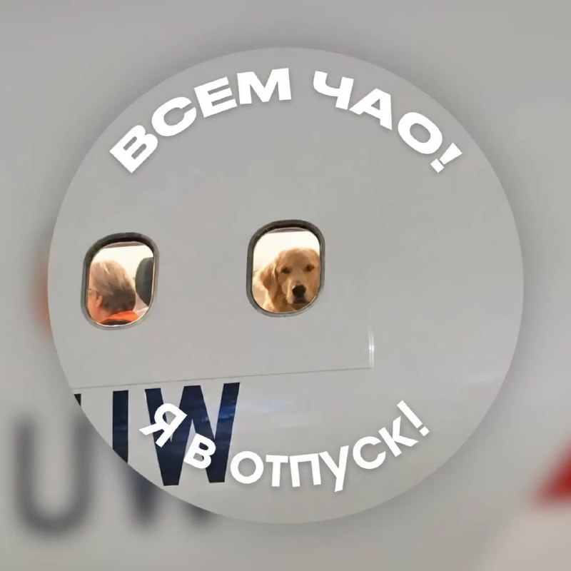 Разбирайте отпускные аватарки, чтобы вас точно никто не побеспокоил