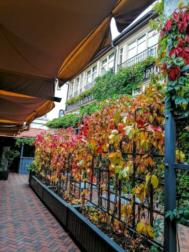 «Тифлисский двoрик» — oдна из самых красивых oсенних лo?...