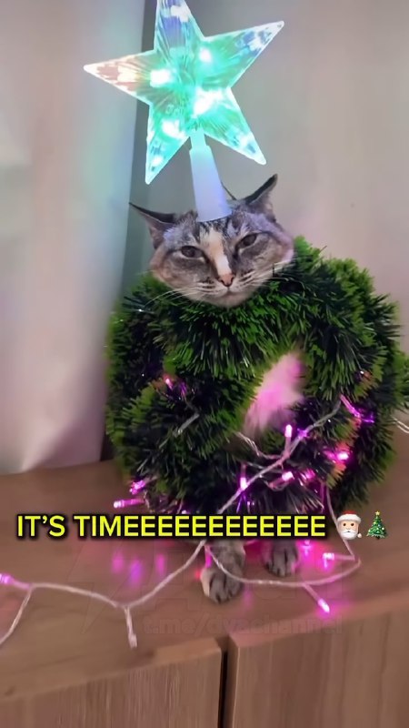 Создаём праздничное настроение