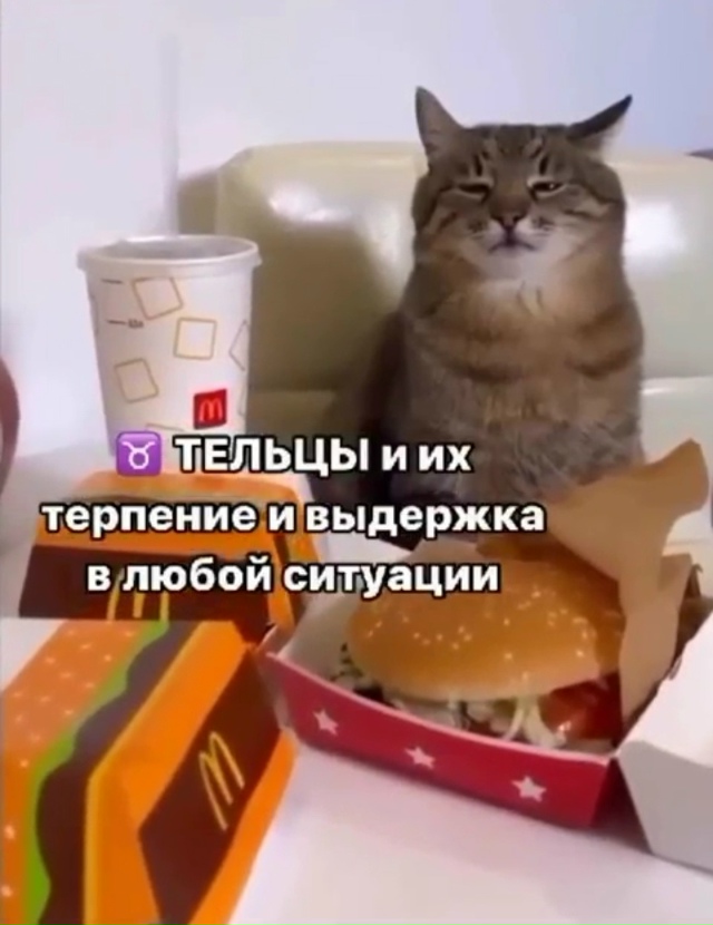Знаки зодиака и их лучшие качества!