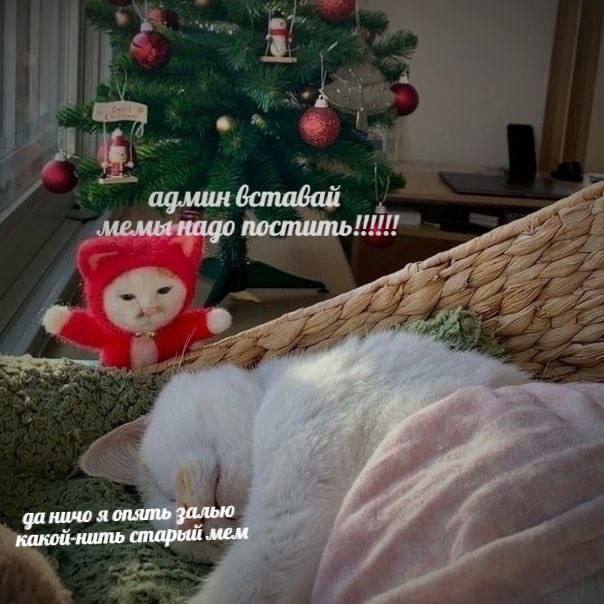 Утренняя подборочка