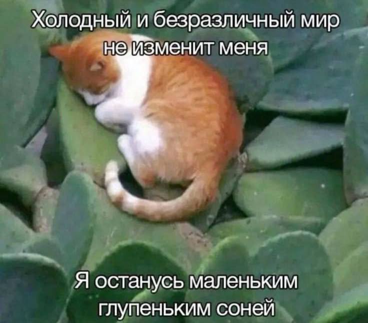Утренняя подборочка