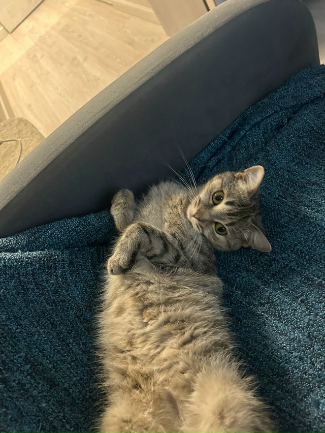 Срочно ‼️Серпухов, Пущино, Протвино, Чехов, МО!
Найден...