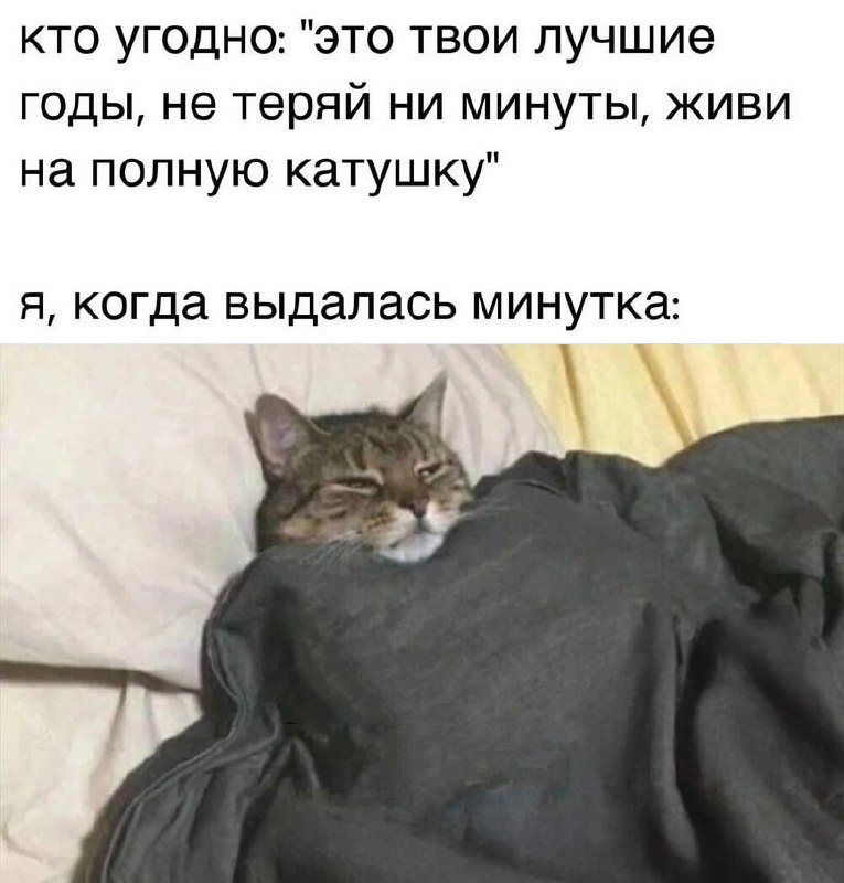 Утренняя подборочка