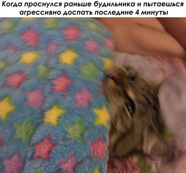 Всем утро!)