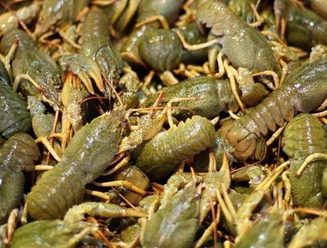 Пришло время перейти на новый уровень гастрономическо...