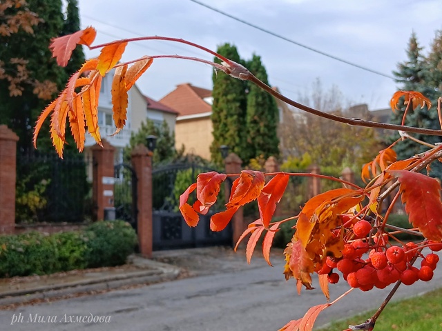 🍁🍂
Сегодня, в понедельник октября, на набережной бы?...