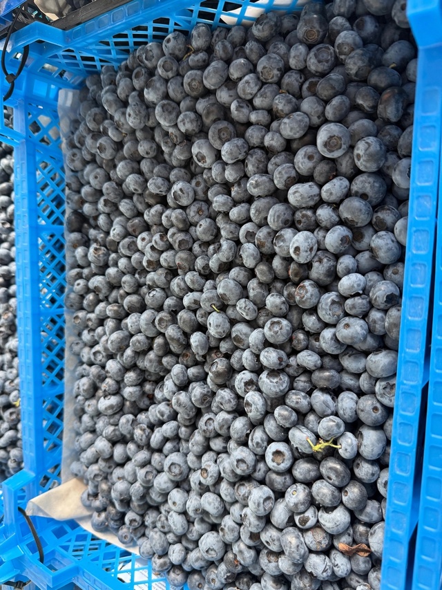 22.07.2025 будет продаваться Крупная, вкусная, сладкая, све?...