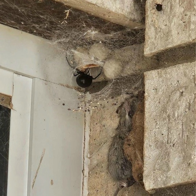 Житель одного из американских штатов обнаружил, что де...