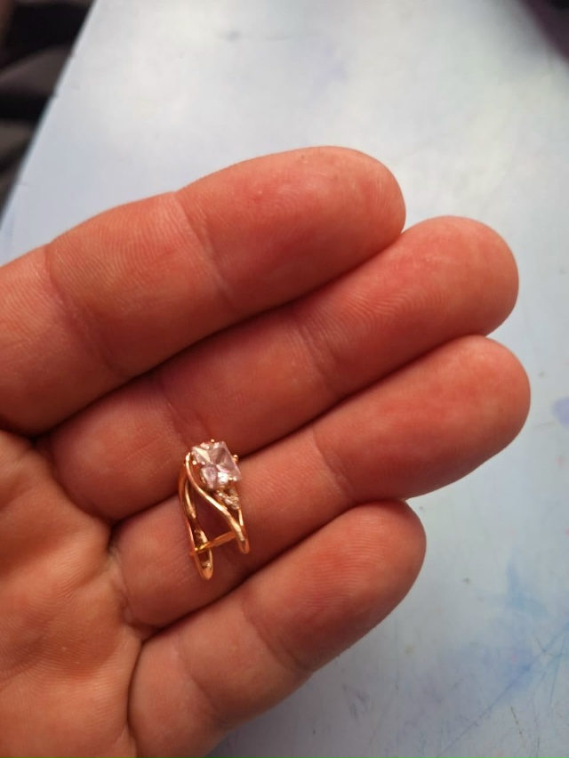 Найдена серёжка, на парковке северной проходной