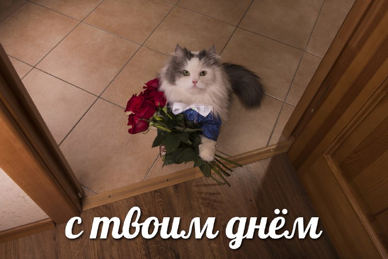 Сегодня отмечается Международный день проституток aka Международный день секс-работников
Отправь по