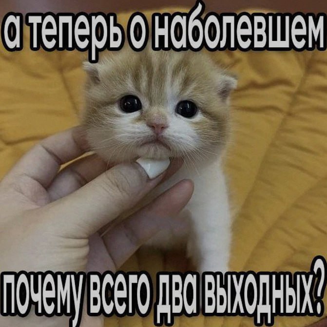 Ночная подборочка
Спать, режим