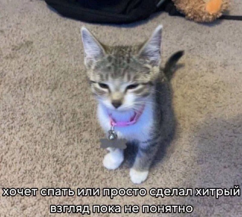 Утренняя подборочка