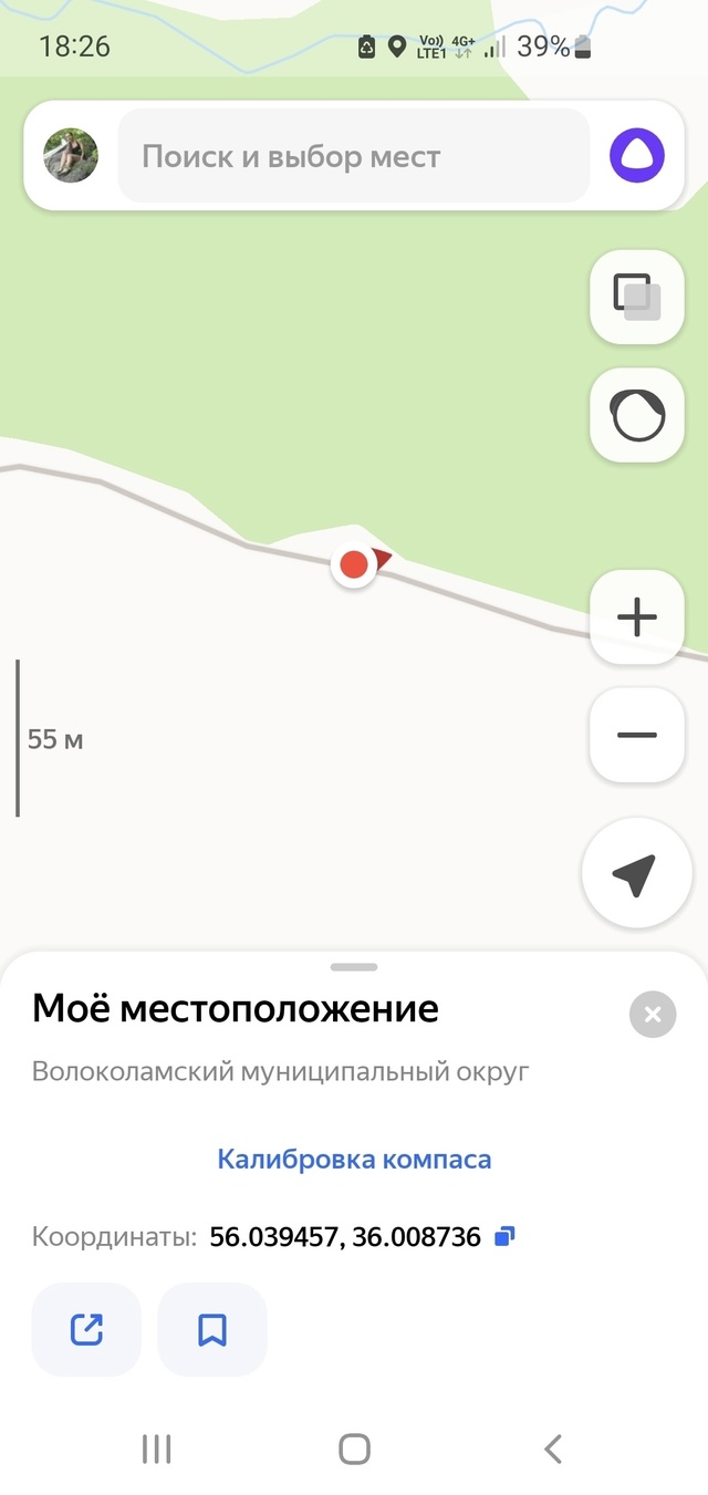 Товарищи, край леса - это не место для свалки!!! Хватит с?...