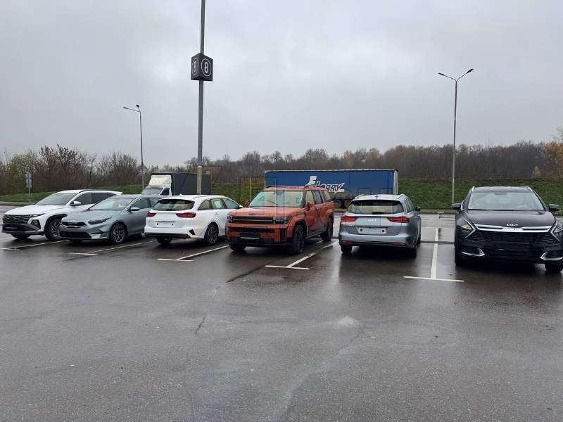 Владельцев более 30 тысяч автомобилей Hyundai, Kia и Skoda, ввезённых из Казахстана с весны 2024 год