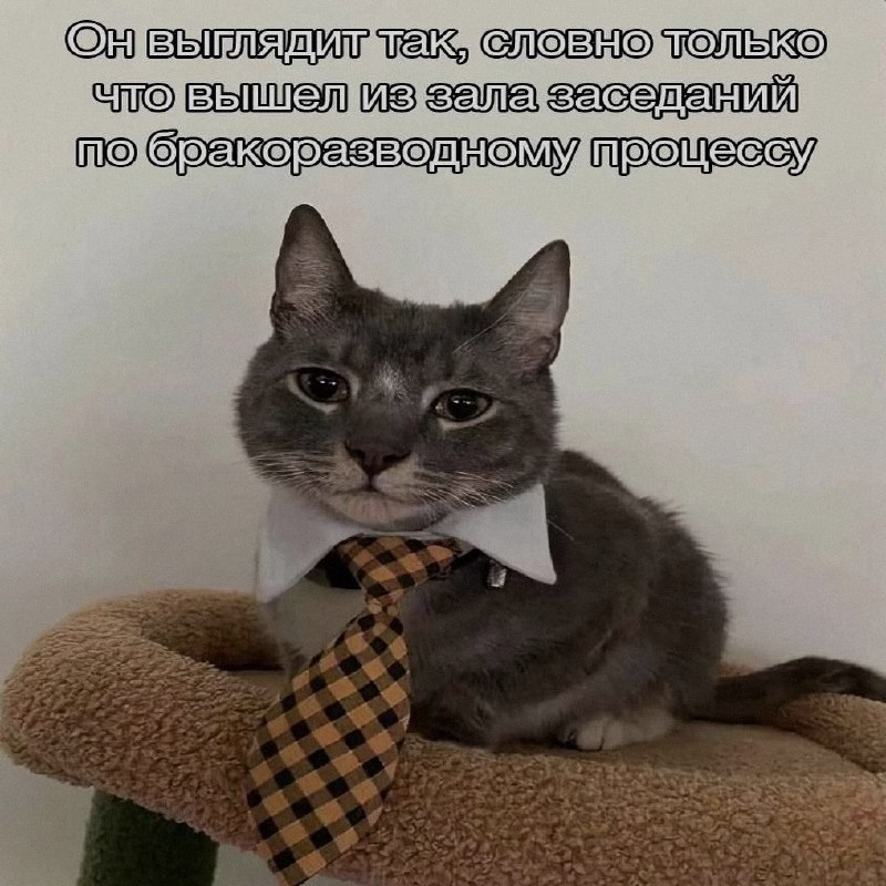 Ночная подборочка
Спать, режим