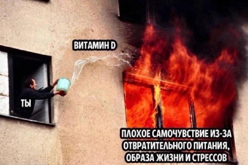 Учёные доказали, что витамин D реально продлевает жизнь — минимум на три года
Регулярный приём вита