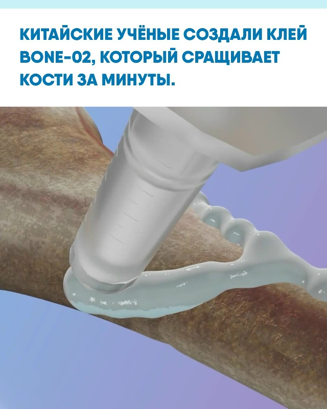 Новый препарат Bone-02 разработан на основе выделений уст...