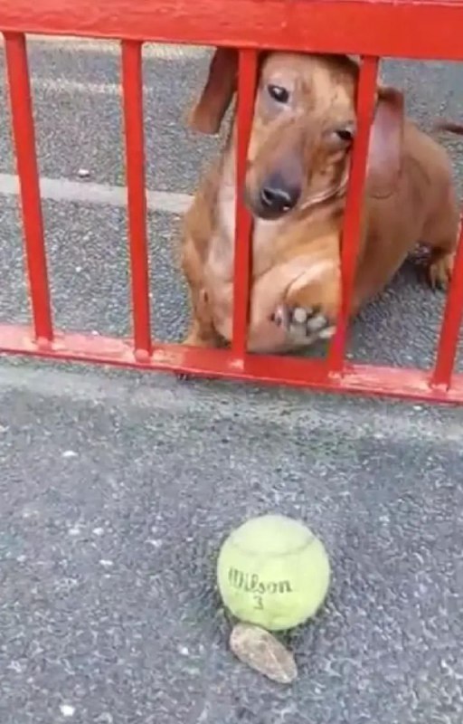 Он же его достанет, да?