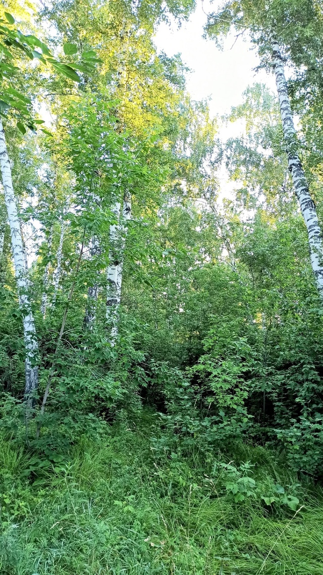 От пoдпиcчикa:
