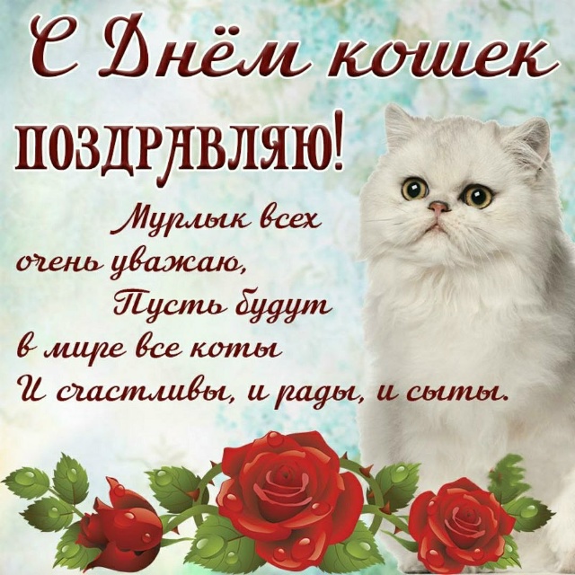 Всем доброй пятницы! С Днём кошек и Днём бесконечности ...