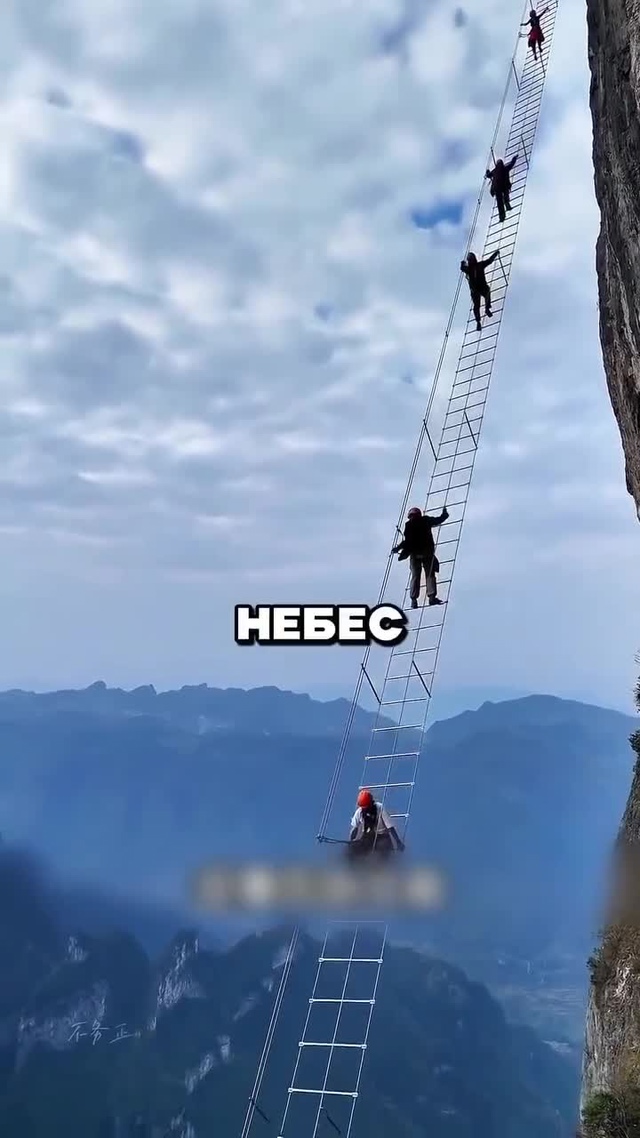 Кто осмелится залезть на такую высоту.