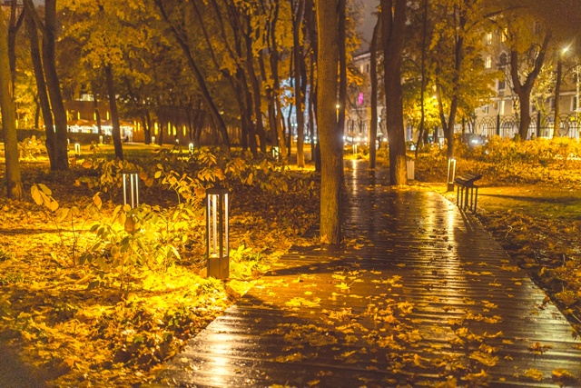 Вечерний, влажный и блестящий Воронеж🍂🌇