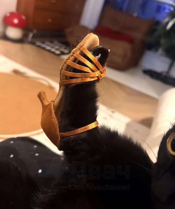 Дамы и господа, вот что значит стиль