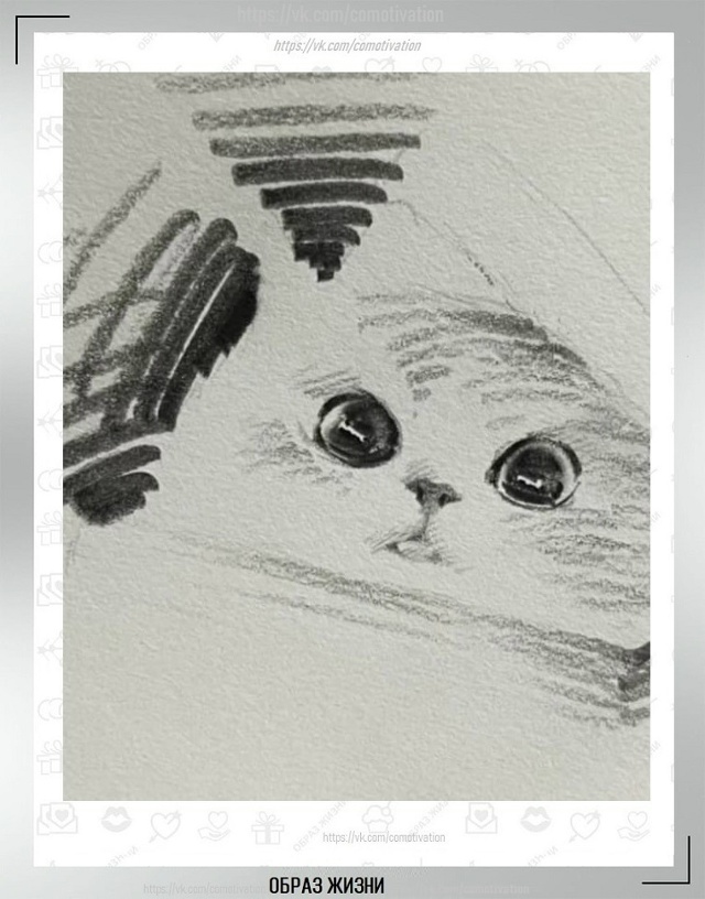 Вот такая милота. Ну куда же без кота.