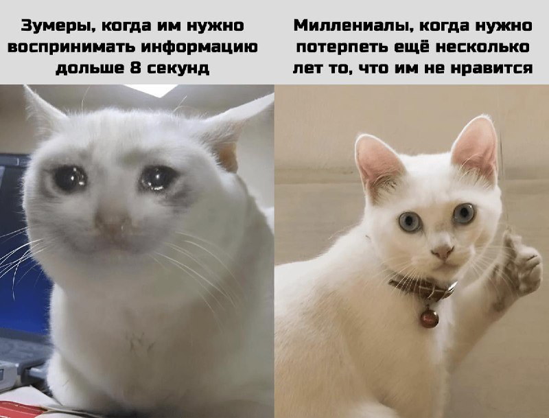 Четыре из пяти зумеров в России не хотят работать по графику 5/2.
Молодёжь мотивируют деньги, своб