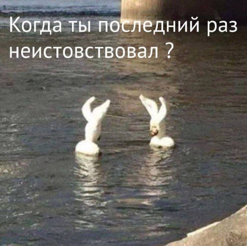 Это одинокая я пытаюсь подбить свою замужнюю подругу, у которой когда-то был большой потенциал, на ч