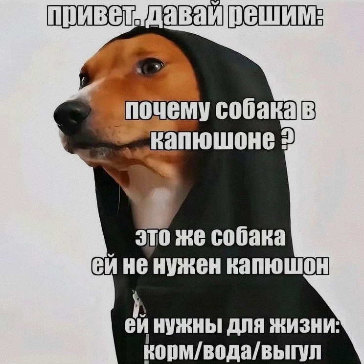 Ночная подборочка
Выходные, не спим