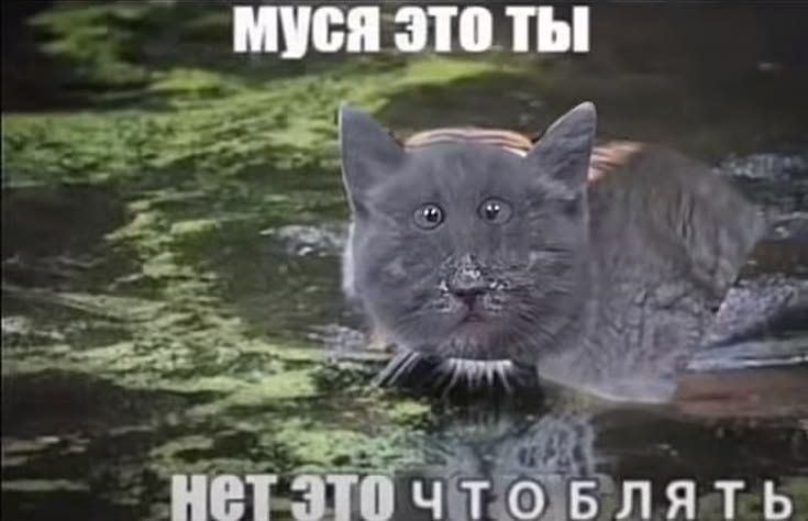 Когда выкладывала историю для того самого, но на неё ответила бывшая интрижка, с которой ничего не в