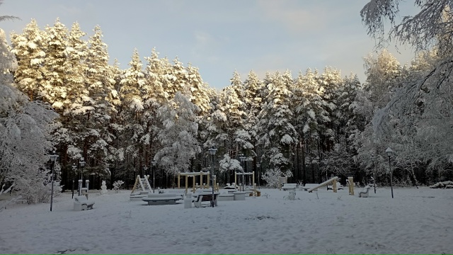 Немного зимней красоты))